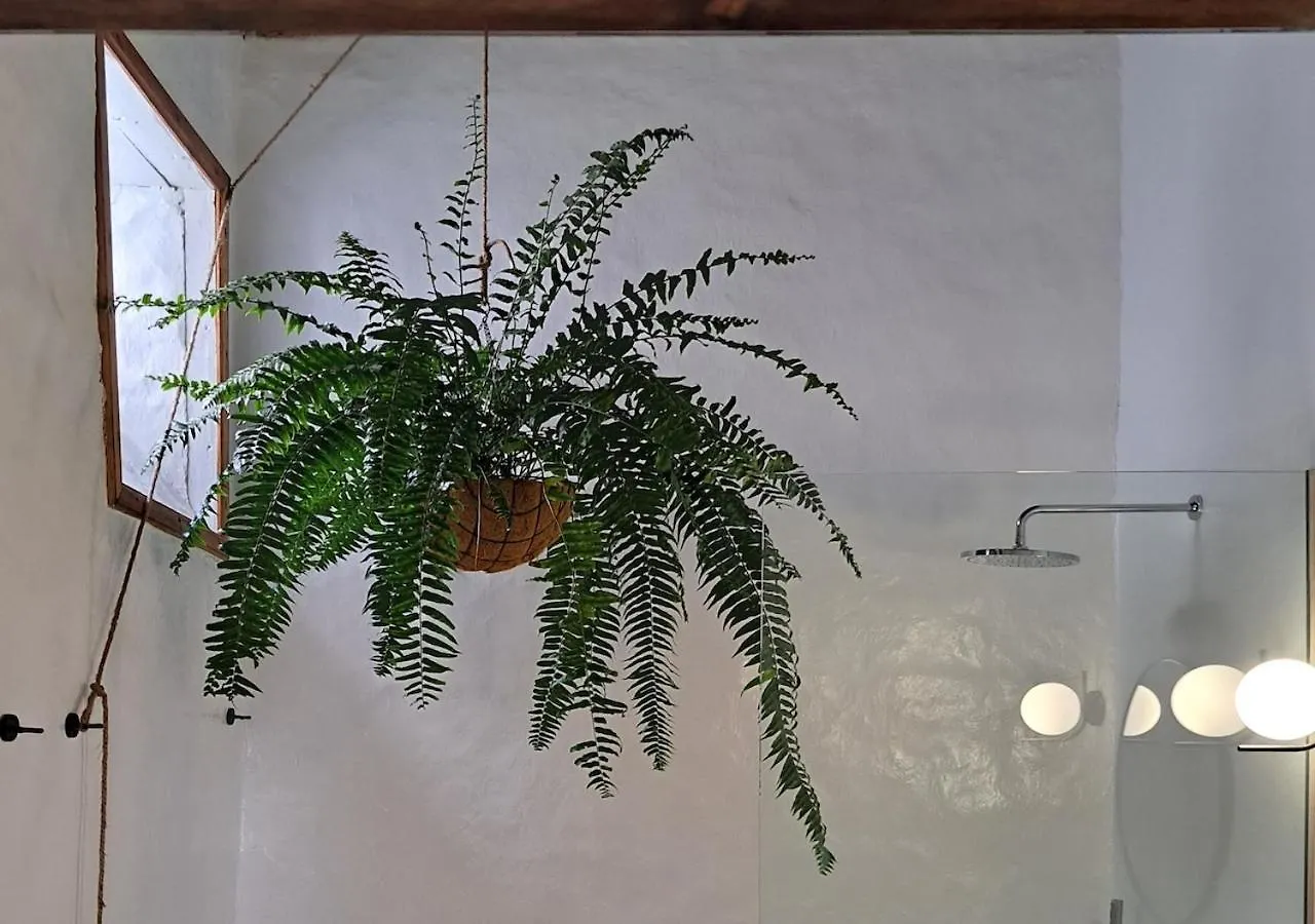 ****  Casa De Las Flores - Hotel Boutique Lanzarote Teguise  Spain